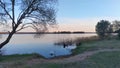 In the evening, the setting sun stains the clouds and the forest on the far shore of the lake. Willows and pines grow on the grass Royalty Free Stock Photo