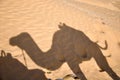 Evening shadows of a camel caravan on the desert. Royalty Free Stock Photo