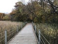 Minnesota park fall season wooden bridge walking path. Royalty Free Stock Photo