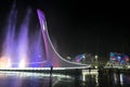 Evening show of singing fountains in the Olympic Park Sochi