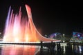 Evening show of singing fountains in the Olympic Park Sochi