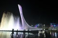 Evening show of singing fountains in the Olympic Park Sochi