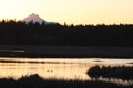 Evening Silhouettes Eagle Ridge County Park Oregon