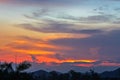 Dark Cloudy Twilight on Sky, Beautiful sundown, Cloud cross on blurry sunset and Flam-boyant, The Flame Tree, Royal Poinciana. Royalty Free Stock Photo