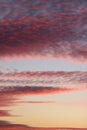 Assorted red and pink colored clouds at sunset Royalty Free Stock Photo