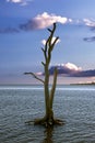 Evening sky colors add beauty to the beach scenery - Assateague, MD, USA Royalty Free Stock Photo