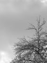 Evening sky after freezing rain and snow storm in Eugene, Oregon