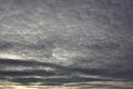 Evening sky with light cirrus clouds Royalty Free Stock Photo