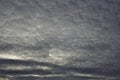 Evening sky with light cirrus clouds Royalty Free Stock Photo