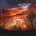 Evening sky with red clouds and sunset sun and black leafless trees Royalty Free Stock Photo