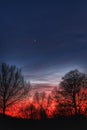 Evening sky with red clouds and sunset sun and black leafless trees Royalty Free Stock Photo
