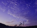 Clouds were floating across the blue sky.