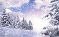 Evening in a snowy fir forest. Large snowdrifts and snow on the branches of Christmas trees. Snowstorm in the mountains Royalty Free Stock Photo