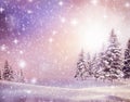 Evening in a snowy fir forest. Large snowdrifts and snow on the branches of Christmas trees. Snowstorm in the mountains Royalty Free Stock Photo