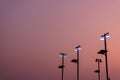 evening solar lantern beautiful magenta sky