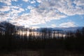 Evening spring blue sky with white clouds. Dark silhouettes of trees and shrubs. Royalty Free Stock Photo