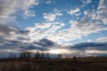 Evening spring blue sky with white clouds. Dark silhouettes of trees and shrubs. Royalty Free Stock Photo