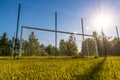 Evening stadium soccer field