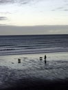 Evening Stroll on a beach with the dogs Royalty Free Stock Photo