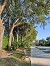 Evening stroll in the neighborhood