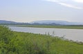 Evening on a Subtropical Wetland