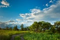 Evening summer landscape Royalty Free Stock Photo