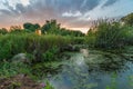 Evening summer landscape. Beautiful view from the coast to the overgrown marshy pond Royalty Free Stock Photo