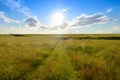 summer landscape with green field, blue sky with clouds and sun Royalty Free Stock Photo