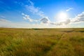 summer landscape with green field, blue sky with clouds and sun Royalty Free Stock Photo