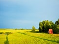 Evening Summer Landscape Royalty Free Stock Photo