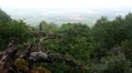 Forest landscape. Breakage Hills in the background