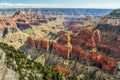 The Glow of Evening Light on the North Rim of the Grand Canyon of Arizona Royalty Free Stock Photo