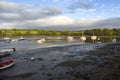 Evening sun over river teifi,Wales,UK Royalty Free Stock Photo