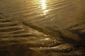 Evening sun reflection in wet sand Royalty Free Stock Photo