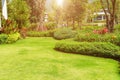 The evening sun shines into the front yard. Green lawn. Backyard for background. Landscaped garden. Garden in morning light with f Royalty Free Stock Photo
