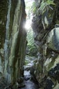 Ruins of Hitler`s Bunker