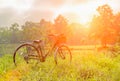 The evening sun shines on a vintage bike parked in the field, beautiful scenery, old bike with the light of the setting sun, beaut Royalty Free Stock Photo