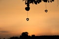 Evening sun with a silhouette heart hanging on a tree