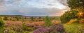 Evening Sun from the Wilseder Mountain