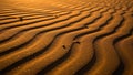 A golden hue over rippled sand dunes creating a pattern of light and Royalty Free Stock Photo