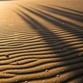 Evening sunlight casts long shadows across rippled sand, creating a pattern of light an Royalty Free Stock Photo