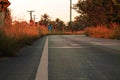 Evening sunlight on country road take me home Royalty Free Stock Photo