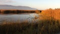 Evening Sunlight and Mountains under Sunset Royalty Free Stock Photo