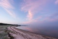 Evening sunlight and spruce tree on the coast, pink clouds and blue sky background. Beach in summer. Seaside forest. Royalty Free Stock Photo