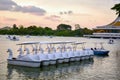 Evening sunlight and swan spinning boat in the lake Royalty Free Stock Photo