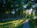 Evening sunlit landscape with the old path in the park Royalty Free Stock Photo