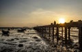 Evening at sunset around the fish bridge, the local fishing port, Bang Phra, Chonburi province