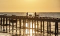 Evening at sunset around the fish bridge, the local fishing port, Bang Phra, Chonburi province