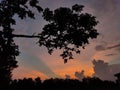 Evening sunset behind trees , beautiful dusk , evening after rain , Orange evening , dark clouds ,sun rays  , evening wallpaper Royalty Free Stock Photo