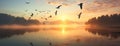 Evening sunset with birds flying over a lake water Royalty Free Stock Photo